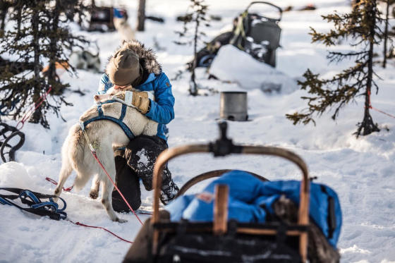 Dobrodružstvo so psím záprahom