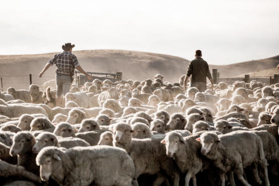 Meníme zabehnuté zvyky