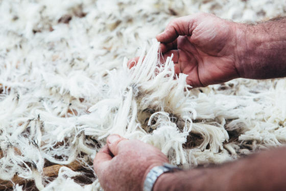 Tradícia trvajúca 21 rokov