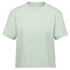 Tričko krátky rukáv Mammut MAMMUT BASE CROPPED T-SHIRT WOMEN MINI LOGO 1288 silver sage