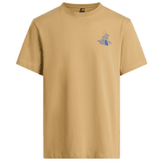 Tričko krátky rukáv The North Face Mountain Celebration Regular SS Tee - Graphic Men Khaki Stone