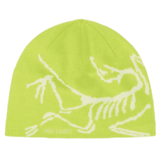 Čiapka Arcteryx Bird Head Toque Mantis / Arctic Silk