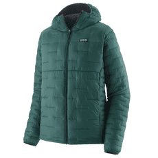 Bunda Patagonia Micro Puff Hoody Men Cascade Green