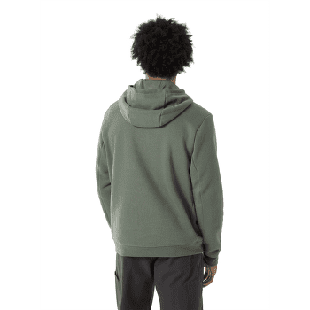 Mikina Arcteryx Emblem Fleece Hoody Men Forage