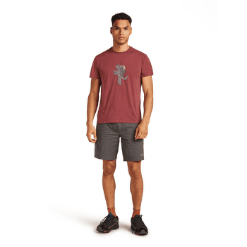 Tričko krátky rukáv Icebreaker Merino Blend Core SS Tee Tech Head Men PORT