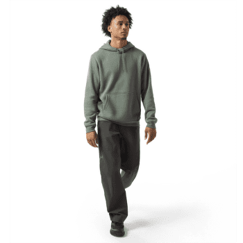 Mikina Arcteryx Emblem Fleece Hoody Men Forage