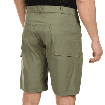 Kraťasy Direct Alpine Mordor Short 1.0 anthracite