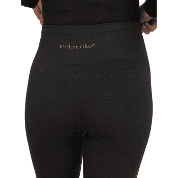 Legíny Icebreaker Merino Seamless Active 25 inch Tights Women BLACK