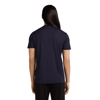 Tričko krátky rukáv Icebreaker Merino 150 Tech Lite SS Tee The Peaks Men ATLANTIS