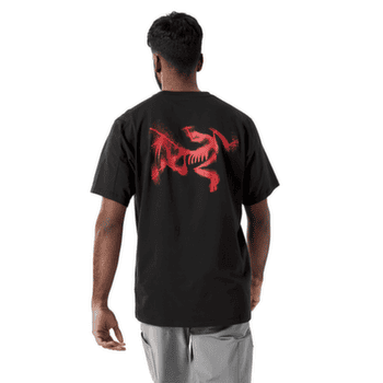 Tričko krátky rukáv Arcteryx Kragg SL Cotton Blurred Bird SS Men Black/Dynasty