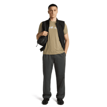 Tričko krátky rukáv Icebreaker Merino 150 Tech Lite SS Tee The Peaks Men CUMIN