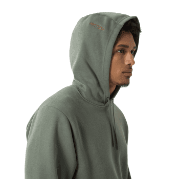 Mikina Arcteryx Emblem Fleece Hoody Men Forage