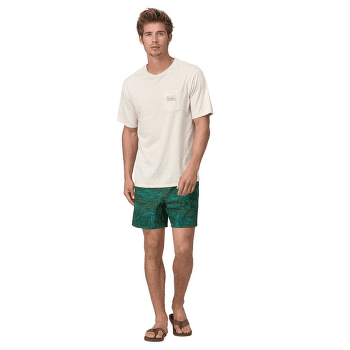 Kraťasy Patagonia Hydropeak Volley Shorts Men High Hopes Geo: Forge Grey