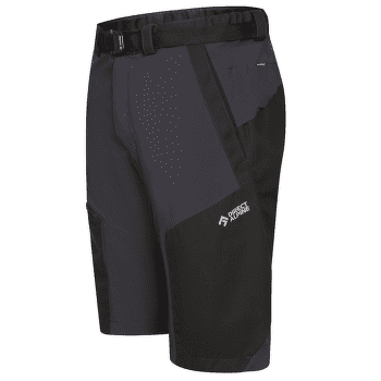 Kraťasy Direct Alpine Fremont Short anthracite