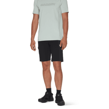 Kraťasy Mammut Ducan Shorts Men marine-tschiel