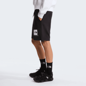 Kraťasy The North Face Box NSE Light Regular Shorts Men TNF BLACK