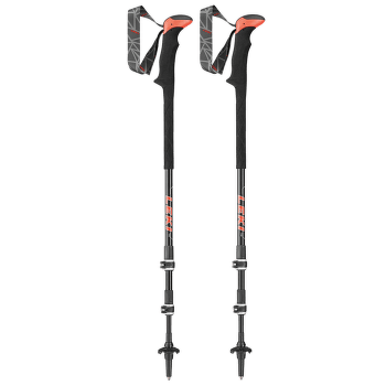 Palice Leki Carbon TA XTG anthracite-white-neonred