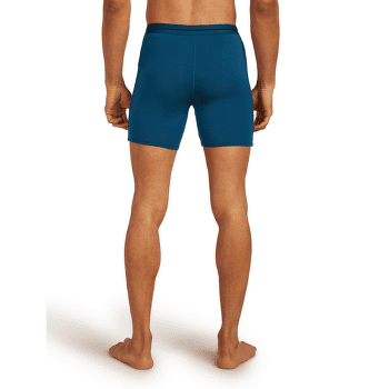 Boxerky Icebreaker Anatomica Long Boxers Men DK LODEN