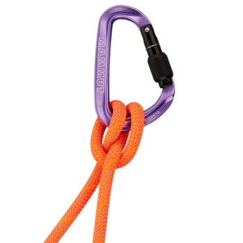 Karabína Mammut Classic HMS Screwgate Carabiner Screw Gate alpine calamint