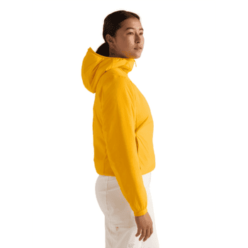 Bunda Arcteryx Atom Hoody Women Pineberry