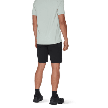 Kraťasy Mammut Ducan Shorts Men marine-tschiel