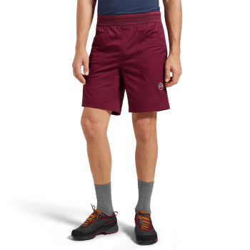 Kraťasy La Sportiva ROOTS SHORTS Men Cypress/Night Sky