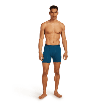 Boxerky Icebreaker Anatomica Long Boxers Men DK LODEN