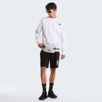 Kraťasy The North Face Box NSE Light Regular Shorts Men TNF BLACK