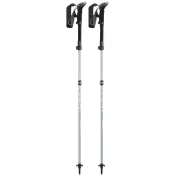 Palice Leki Makalu FX TA silver-greygreen-white