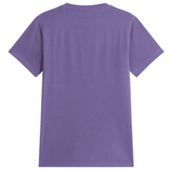 Tričko krátky rukáv The North Face Evolution Simple Dome SLM Short Sleeve Women NNK GROUNDED PLUM