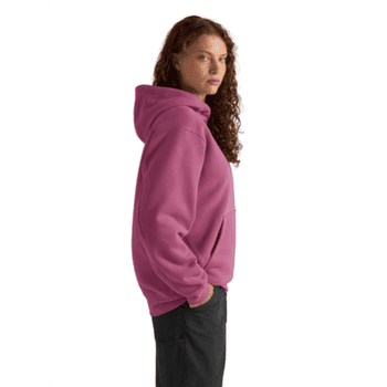 Mikina Arcteryx Emblem Fleece Hoody Women Lt Renegade