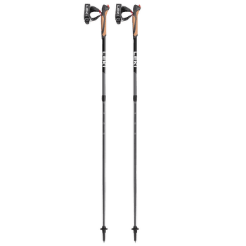 Palice Leki Spin black-silvergray-white