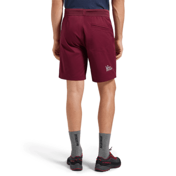 Kraťasy La Sportiva ROOTS SHORTS Men Cypress/Night Sky