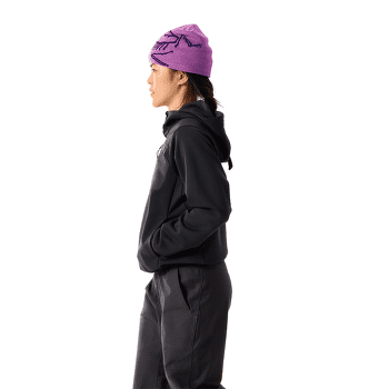 Mikina Arcteryx Aestas Pullover Hoody Women Solitude