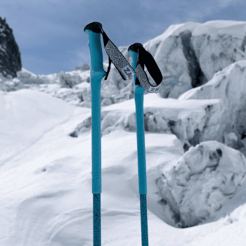 Palice Zag SKIS NORTH POLES VARIO BLUE/BLACK