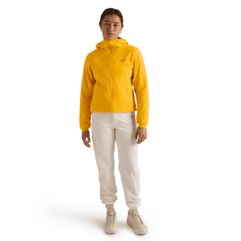 Bunda Arcteryx Atom Hoody Women Pineberry
