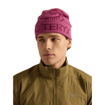 Čiapka Arcteryx Bird Word Toque Orca