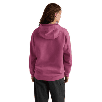 Mikina Arcteryx Emblem Fleece Hoody Women Lt Renegade