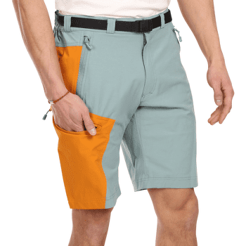 Kraťasy Direct Alpine VULCAN Short ochre