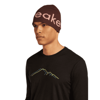 Čiapka Icebreaker Merino Icebreaker Beanie CEDAR WOOD/ECRU HTHR