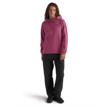 Mikina Arcteryx Emblem Fleece Hoody Women Lt Renegade