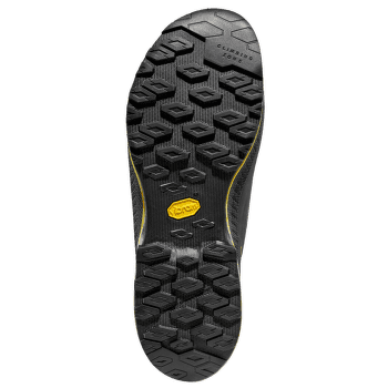 Topánky La Sportiva TX4 Evo GTX Carbon/Bamboo