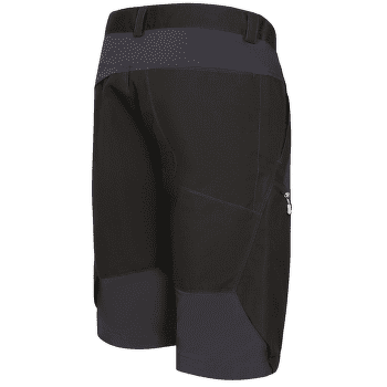 Kraťasy Direct Alpine Fremont Short anthracite