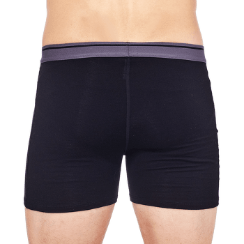Boxerky Icebreaker Anatomica Boxers Men (103030) DK LODEN