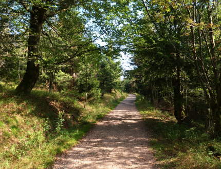 Prechod Orlických hôr – rady a tipy pre turistov
