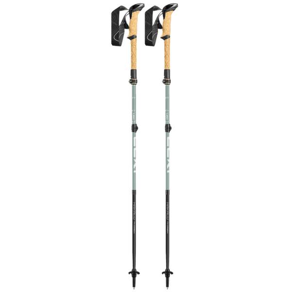 Palice Leki Makalu FX Carbon naturalcarbon-greygreen-white