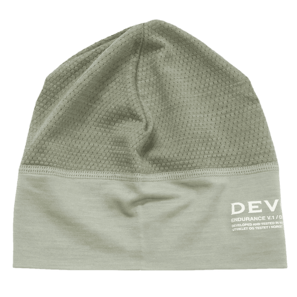 Čiapka Devold Endurance Merino Light Beanice FOG