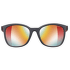Okuliare Julbo Spark (J5293320)