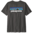 P-6 Logo T-Shirt Men Ink Black