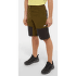 Kraťasy The North Face Climb Short Men FIR GREEN/TNF BLACK